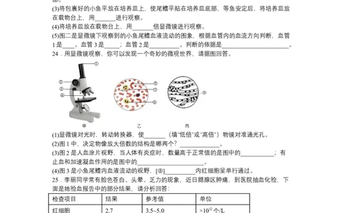 4.4.2血流的管道&mdash;&mdash;血管-（人教版）（原卷版）_初中全科电子版试卷练习试题_生物_生物人教版7下练习_人教生物7年级下课时练习40份