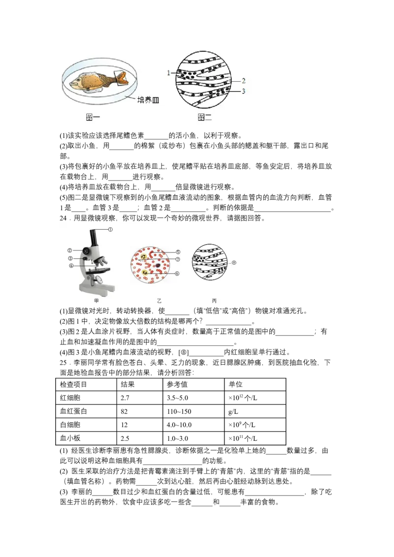4.4.2血流的管道&mdash;&mdash;血管-（人教版）（原卷版）_初中全科电子版试卷练习试题_生物_生物人教版7下练习_人教生物7年级下课时练习40份