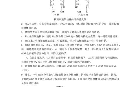 专题14基因的表达（原卷版）_通用版（老高考）复习资料_2024年复习资料_完备战2024年高考生物一轮复习抢分特训（全国通用）