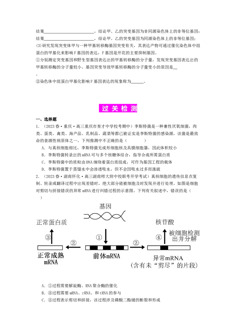 专题14基因的表达（原卷版）_通用版（老高考）复习资料_2024年复习资料_完备战2024年高考生物一轮复习抢分特训（全国通用）