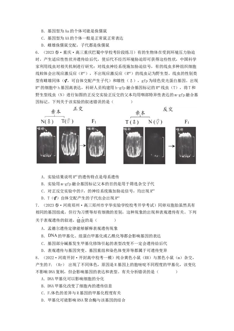 专题14基因的表达（原卷版）_通用版（老高考）复习资料_2024年复习资料_完备战2024年高考生物一轮复习抢分特训（全国通用）