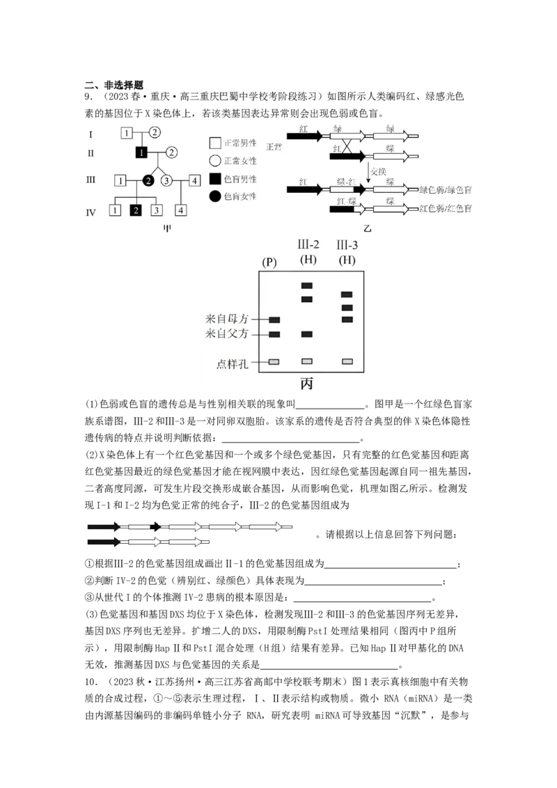 专题14基因的表达（原卷版）_通用版（老高考）复习资料_2024年复习资料_完备战2024年高考生物一轮复习抢分特训（全国通用）