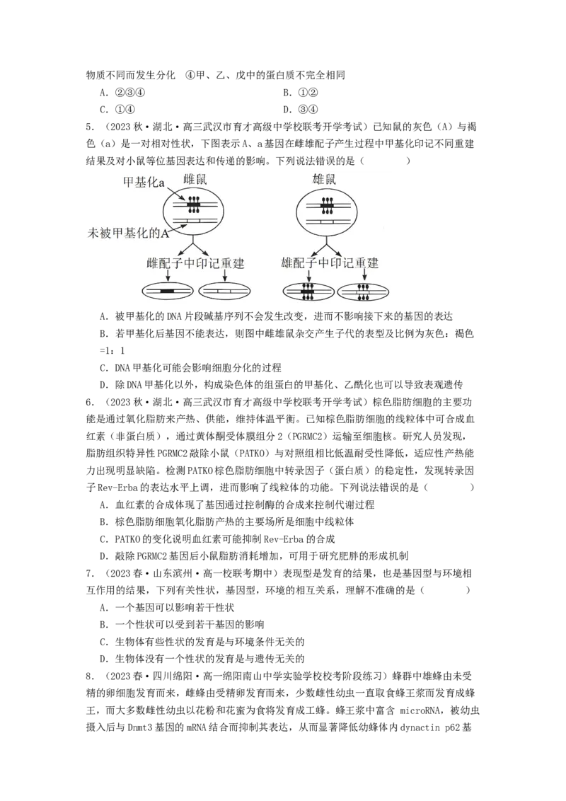 专题14基因的表达（原卷版）_通用版（老高考）复习资料_2024年复习资料_完备战2024年高考生物一轮复习抢分特训（全国通用）