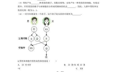 专题06人的性别遗传（原卷版）-2021-2022学年八年级上学期期末复习之重难点突破（人教版）_初中全科电子版试卷练习试题_生物_生物8上练习_人教生物8年级上专项练习23份