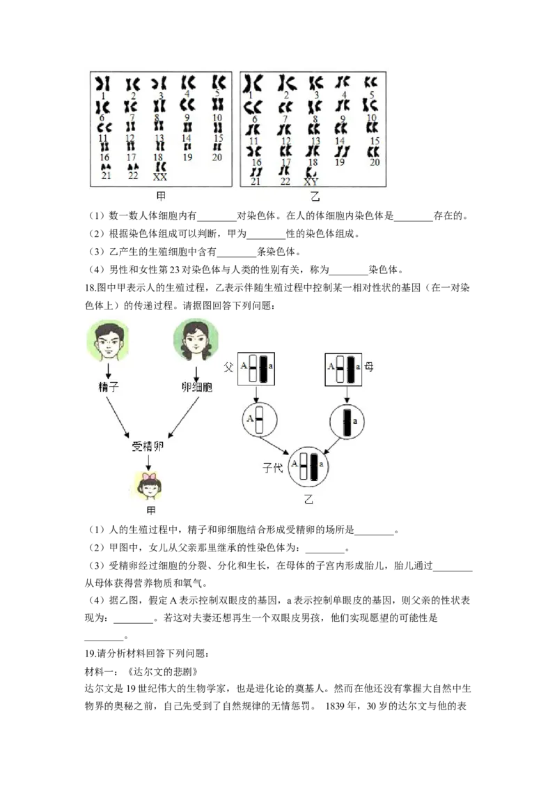 专题06人的性别遗传（原卷版）-2021-2022学年八年级上学期期末复习之重难点突破（人教版）_初中全科电子版试卷练习试题_生物_生物8上练习_人教生物8年级上专项练习23份