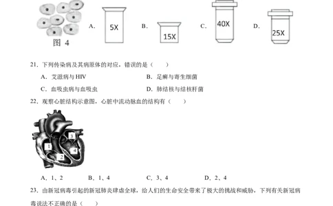 2024年中考押题预测卷01（海南卷）-生物（考试版A4）_初中全科电子版试卷练习试题_生物_2024中考模拟题生物(1)_押题预测