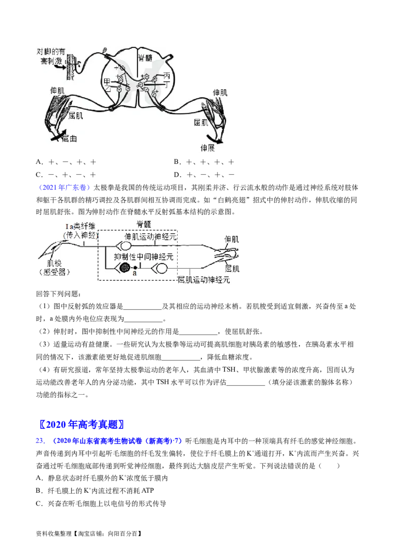 专题14神经调节-学易金卷：五年（2019-2023）高考生物真题分项汇编（全国通用）（原卷版）_通用版（老高考）复习资料_2024年复习资料