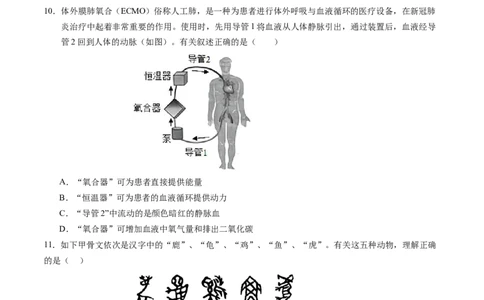 2024年中考押题预测卷（深圳卷）-生物（考试版）A4_初中全科电子版试卷练习试题_生物_2024中考模拟题生物(1)_押题预测