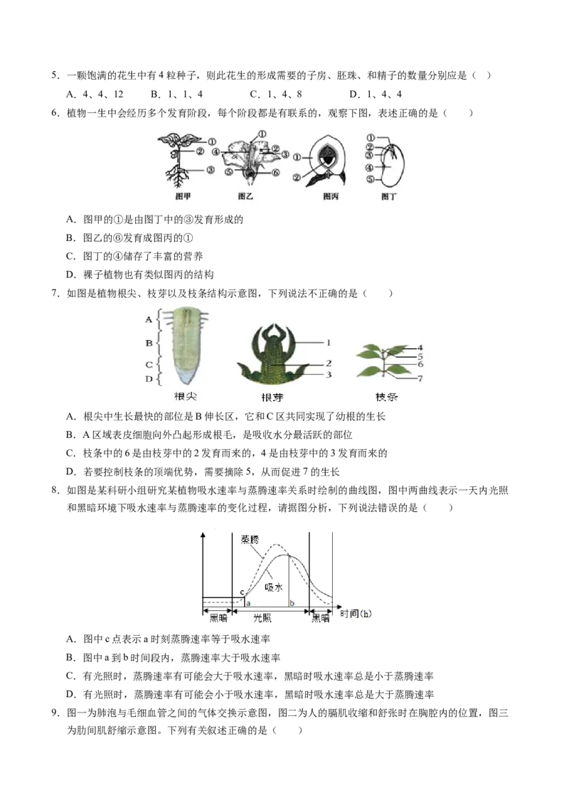 2024年中考押题预测卷（深圳卷）-生物（考试版）A4_初中全科电子版试卷练习试题_生物_2024中考模拟题生物(1)_押题预测