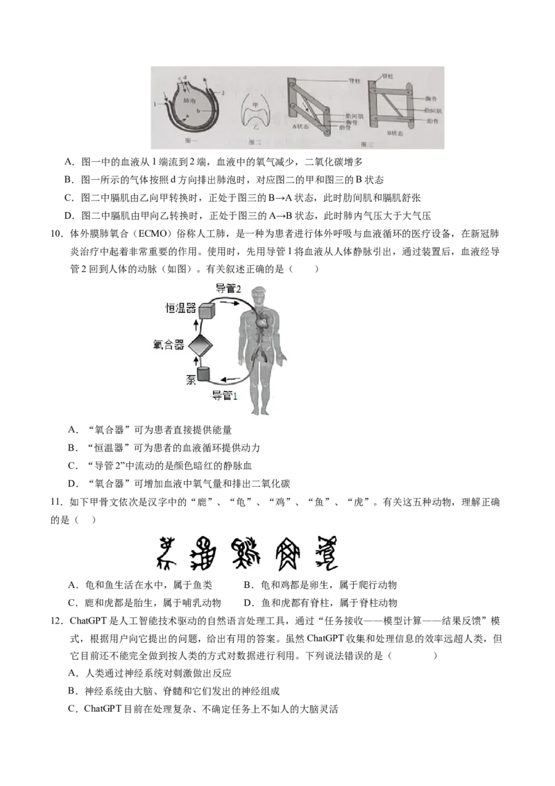 2024年中考押题预测卷（深圳卷）-生物（考试版）A4_初中全科电子版试卷练习试题_生物_2024中考模拟题生物(1)_押题预测