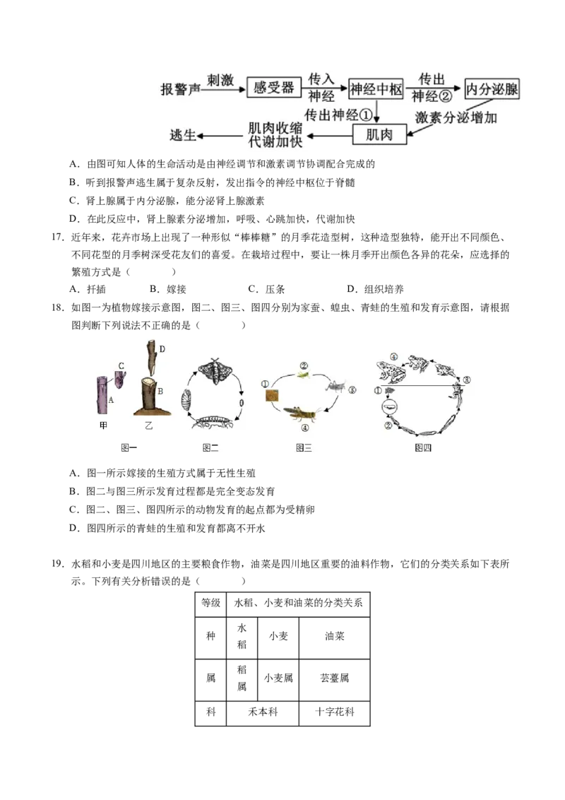 2024年中考押题预测卷（深圳卷）-生物（考试版）A4_初中全科电子版试卷练习试题_生物_2024中考模拟题生物(1)_押题预测