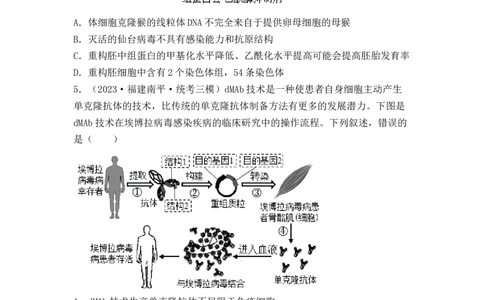 专题17动物细胞工程和胚胎工程（原卷版）_新高考复习资料_2024年新高考复习资料_一轮复习资料_完备战2024年高考生物一轮复习重难点突破讲解与训练（新教材）