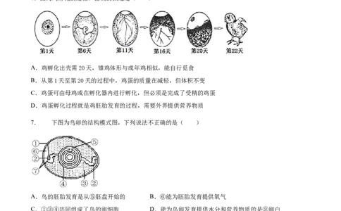 7.1.4鸟的生殖和发育（重点练）-（人教版）（原卷版）_初中全科电子版试卷练习试题_生物_生物8下练习_人教生物8年级下课时练习51份