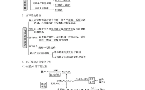 专题23人体的内环境与稳态（串讲）（解析版）_新高考复习资料_2024年新高考复习资料_一轮复习资料_完备战2024年高考生物一轮复习串讲精练（新高考专用）_串讲_解析版