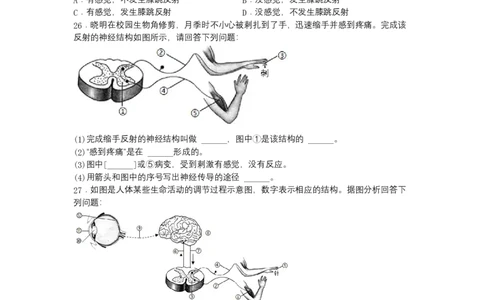 4.6.3神经调节的基本方式-（人教版）（原卷版）_初中全科电子版试卷练习试题_生物_生物人教版7下练习_人教生物7年级下课时练习40份