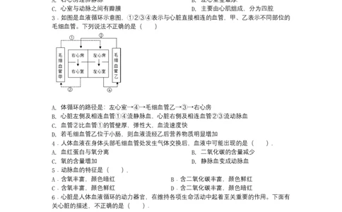 4.4.3输送血液的泵&mdash;&mdash;心脏-（人教版）（原卷版）_初中全科电子版试卷练习试题_生物_生物人教版7下练习_人教生物7年级下课时练习40份