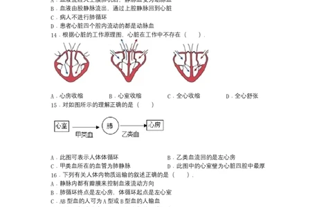 4.4.3输送血液的泵&mdash;&mdash;心脏-（人教版）（原卷版）_初中全科电子版试卷练习试题_生物_生物人教版7下练习_人教生物7年级下课时练习40份