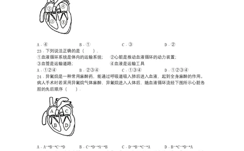 4.4.3输送血液的泵&mdash;&mdash;心脏-（人教版）（原卷版）_初中全科电子版试卷练习试题_生物_生物人教版7下练习_人教生物7年级下课时练习40份