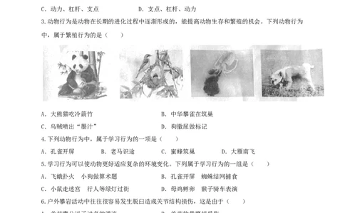 5.2章末检测（备作业）-（人教版）（原卷版）_初中全科电子版试卷练习试题_生物_生物8上练习_人教生物8年级上单元试卷48份_第4套八年级生物上册单元试卷（人教版）08份