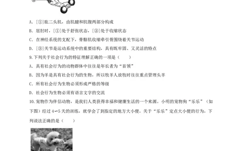5.2章末检测（备作业）-（人教版）（原卷版）_初中全科电子版试卷练习试题_生物_生物8上练习_人教生物8年级上单元试卷48份_第4套八年级生物上册单元试卷（人教版）08份