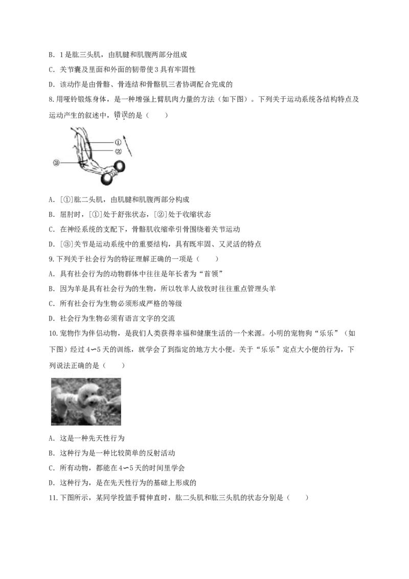 5.2章末检测（备作业）-（人教版）（原卷版）_初中全科电子版试卷练习试题_生物_生物8上练习_人教生物8年级上单元试卷48份_第4套八年级生物上册单元试卷（人教版）08份