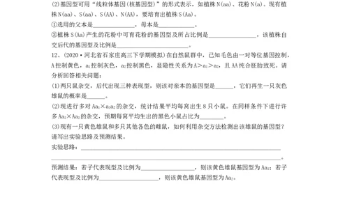 专题14基因的分离定律（精练）（原卷版）_新高考复习资料_2024年新高考复习资料_一轮复习资料_完备战2024年高考生物一轮复习串讲精练（新高考专用）_精练