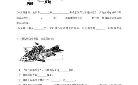 专练04（识图题）-八年级生物上册期中考点必杀题（人教版）（原卷版）_初中全科电子版试卷练习试题_生物_生物8上练习_人教生物8年级上专项练习23份