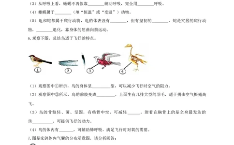 专练04（识图题）-八年级生物上册期中考点必杀题（人教版）（原卷版）_初中全科电子版试卷练习试题_生物_生物8上练习_人教生物8年级上专项练习23份