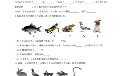 专练04（识图题）-八年级生物上册期中考点必杀题（人教版）（原卷版）_初中全科电子版试卷练习试题_生物_生物8上练习_人教生物8年级上专项练习23份