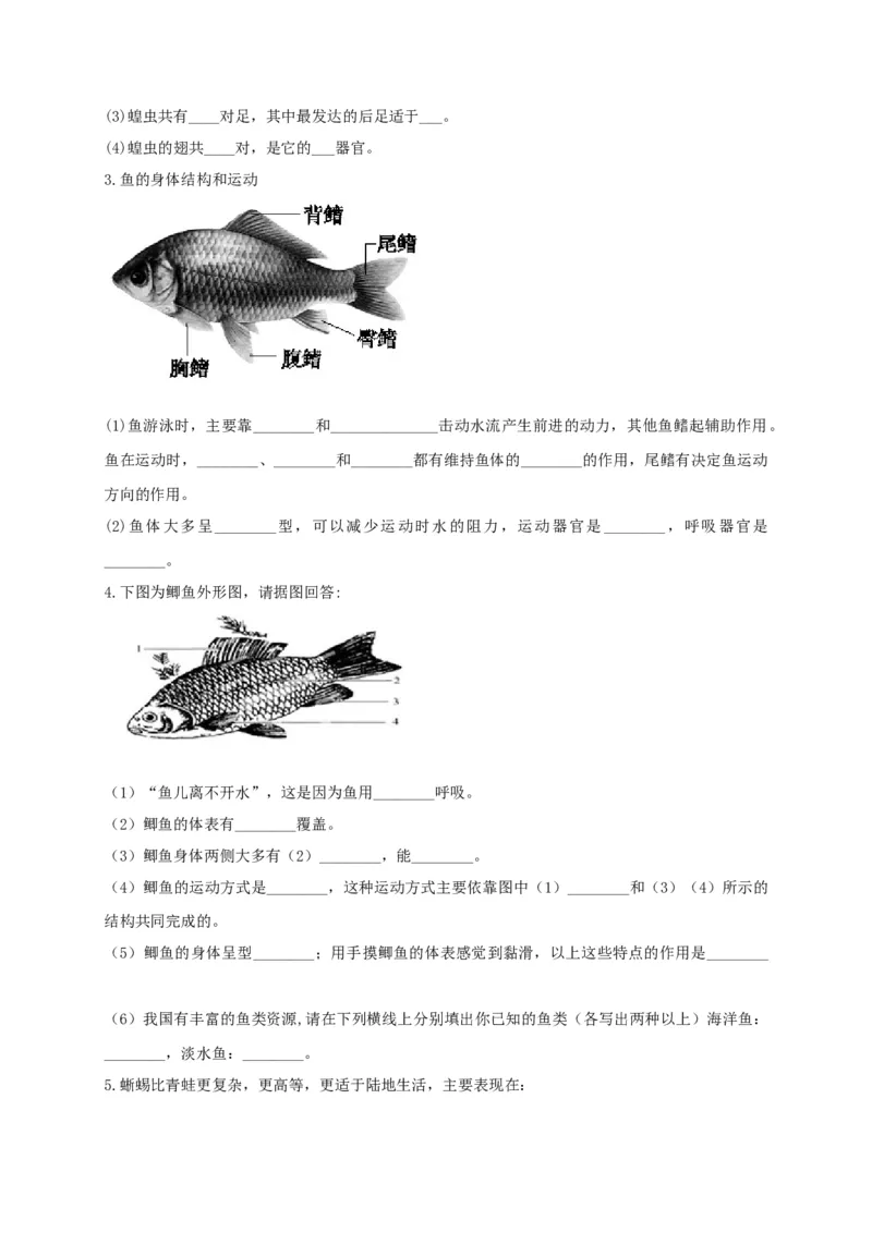 专练04（识图题）-八年级生物上册期中考点必杀题（人教版）（原卷版）_初中全科电子版试卷练习试题_生物_生物8上练习_人教生物8年级上专项练习23份