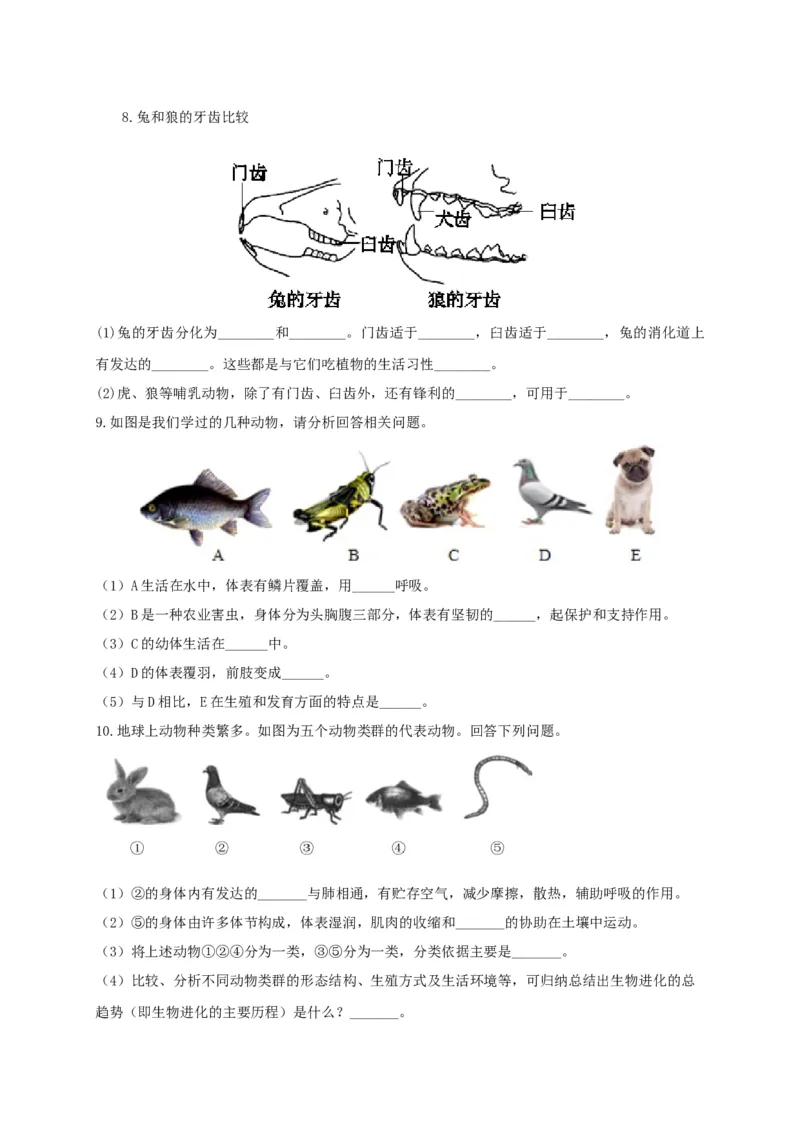 专练04（识图题）-八年级生物上册期中考点必杀题（人教版）（原卷版）_初中全科电子版试卷练习试题_生物_生物8上练习_人教生物8年级上专项练习23份