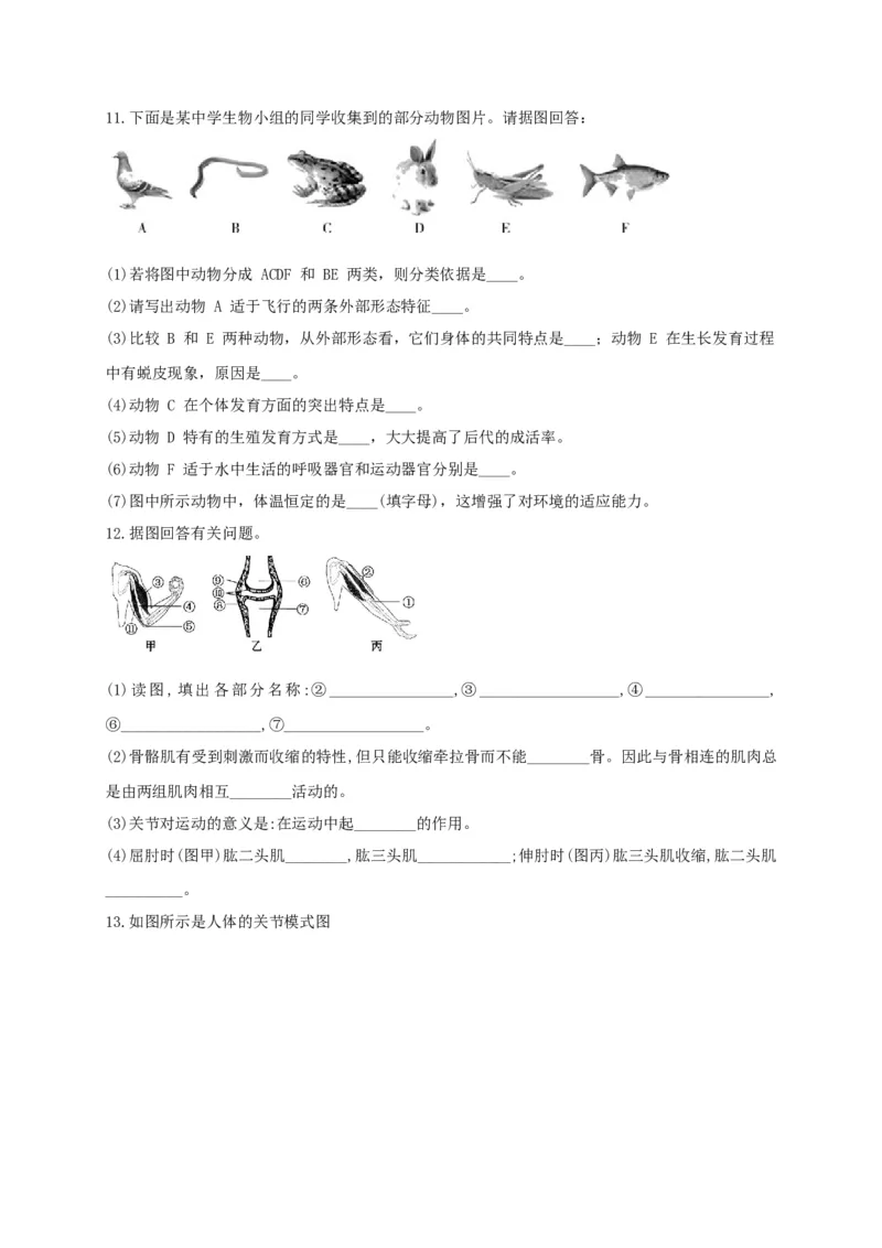 专练04（识图题）-八年级生物上册期中考点必杀题（人教版）（原卷版）_初中全科电子版试卷练习试题_生物_生物8上练习_人教生物8年级上专项练习23份