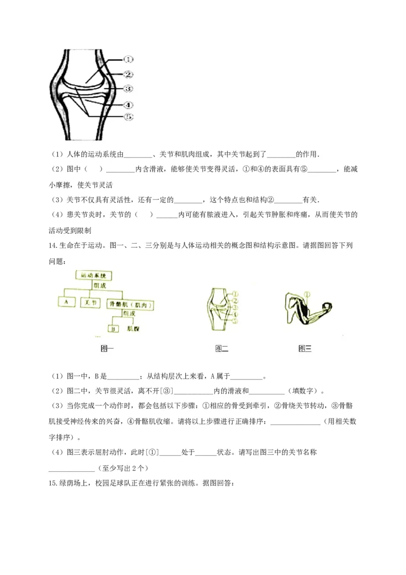 专练04（识图题）-八年级生物上册期中考点必杀题（人教版）（原卷版）_初中全科电子版试卷练习试题_生物_生物8上练习_人教生物8年级上专项练习23份
