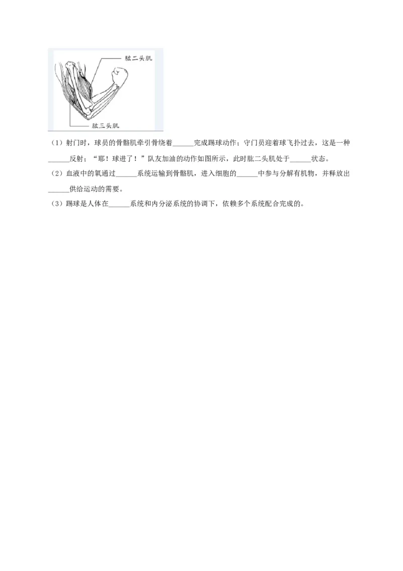 专练04（识图题）-八年级生物上册期中考点必杀题（人教版）（原卷版）_初中全科电子版试卷练习试题_生物_生物8上练习_人教生物8年级上专项练习23份