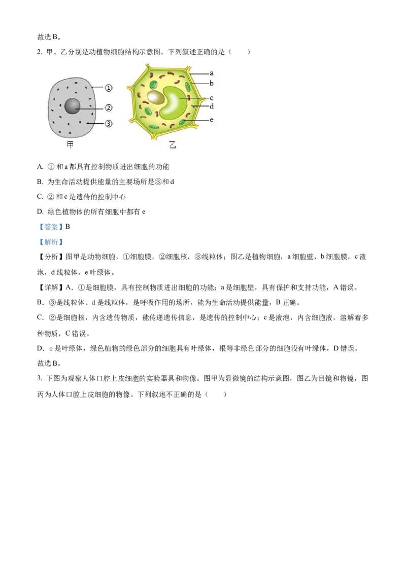 2024年山东省滨州市中考生物真题（解析版）(1)_山东历年中考真题_山东省历年中考真题2013~2024_初中生物历年真题（2013-2024）