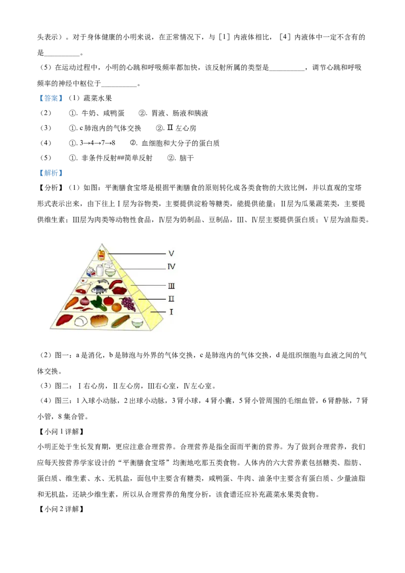 2024年山东省滨州市中考生物真题（解析版）(1)_山东历年中考真题_山东省历年中考真题2013~2024_初中生物历年真题（2013-2024）