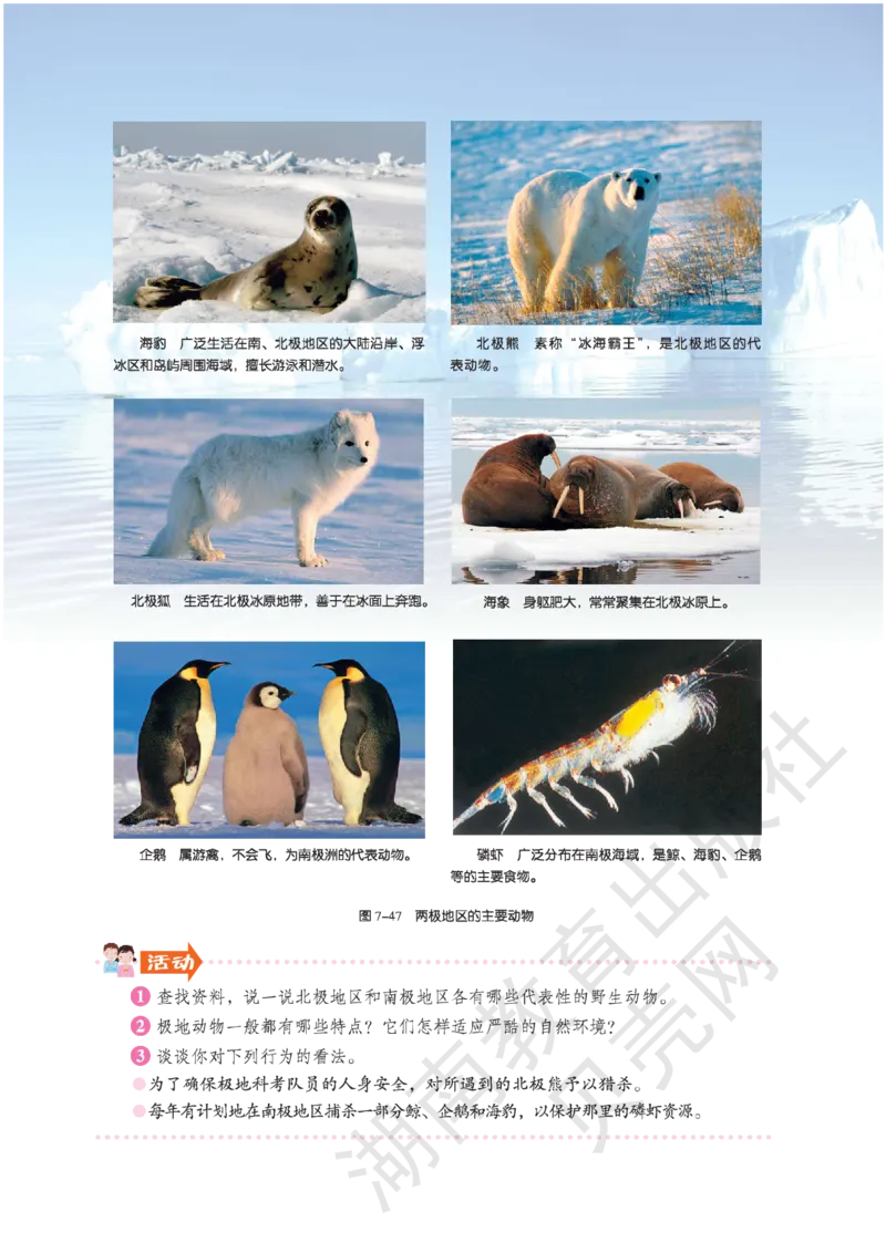 湘教版七年级地理下册_初中电子课本_7.地理_湘教版_下册