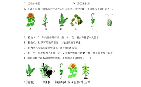 6.1.1尝试对生物进行分类（练习）（原卷版）_初中全科电子版试卷练习试题_生物_生物8上练习_人教生物8年级上课时练习37份_第1套八年级生物上册课时练习（人教版）16份