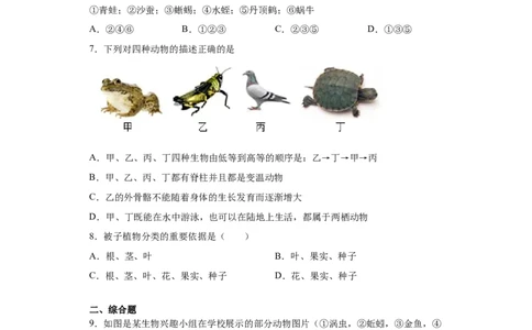 6.1.1尝试对生物进行分类（练习）（原卷版）_初中全科电子版试卷练习试题_生物_生物8上练习_人教生物8年级上课时练习37份_第1套八年级生物上册课时练习（人教版）16份