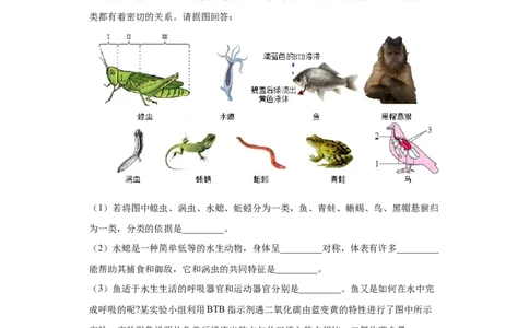 6.1.1尝试对生物进行分类（练习）（原卷版）_初中全科电子版试卷练习试题_生物_生物8上练习_人教生物8年级上课时练习37份_第1套八年级生物上册课时练习（人教版）16份