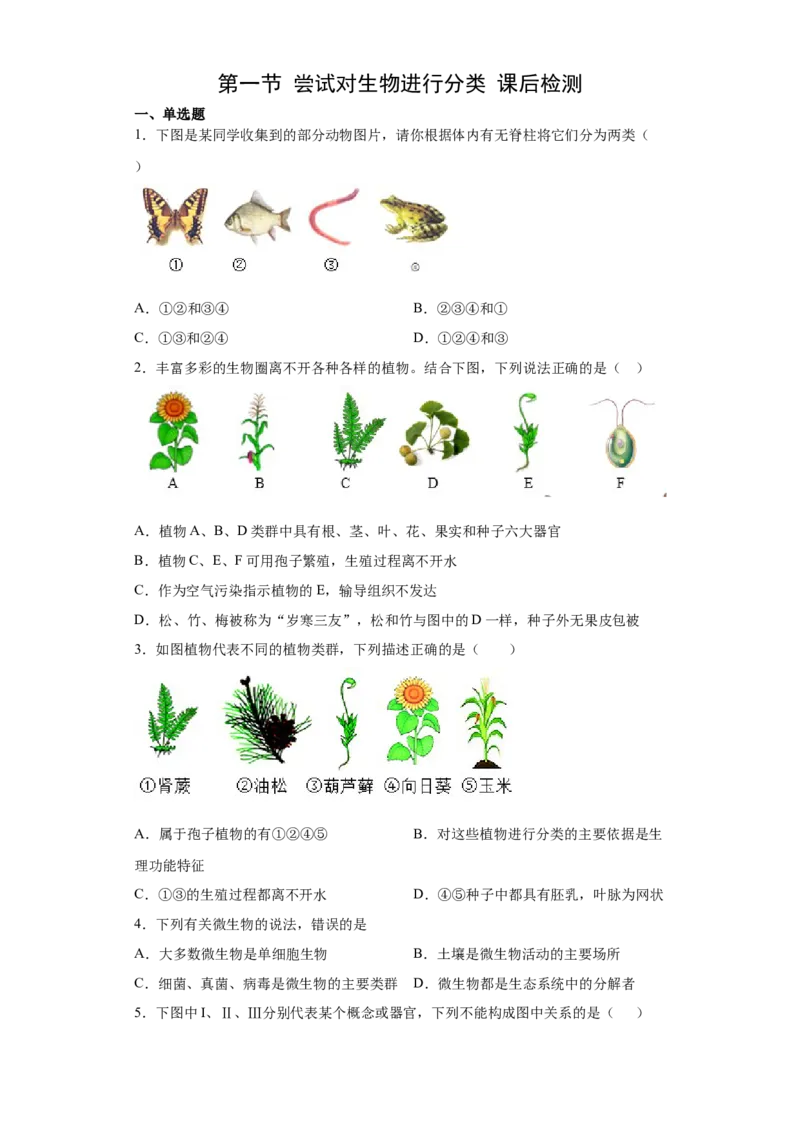6.1.1尝试对生物进行分类（练习）（原卷版）_初中全科电子版试卷练习试题_生物_生物8上练习_人教生物8年级上课时练习37份_第1套八年级生物上册课时练习（人教版）16份