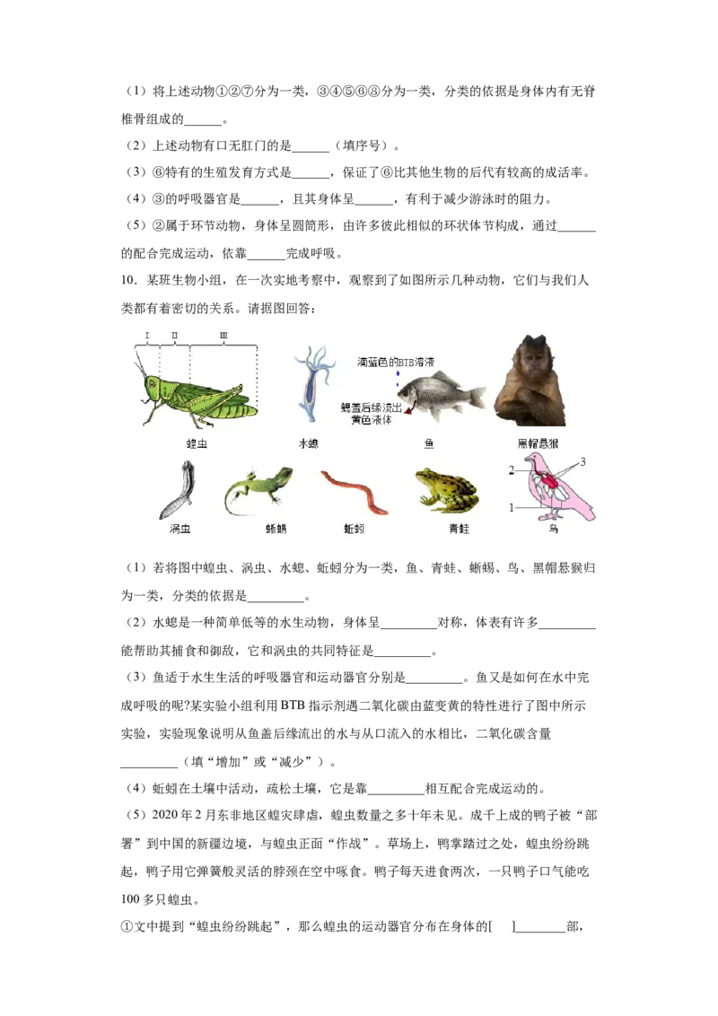 6.1.1尝试对生物进行分类（练习）（原卷版）_初中全科电子版试卷练习试题_生物_生物8上练习_人教生物8年级上课时练习37份_第1套八年级生物上册课时练习（人教版）16份