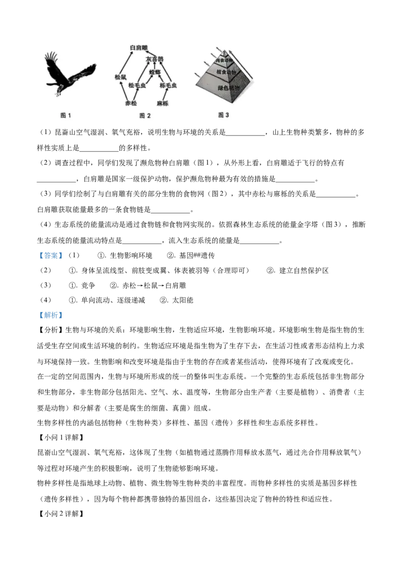 2025年山东省烟台市中考生物真题（解析版）_山东历年中考真题_山东省2025中考题_烟台