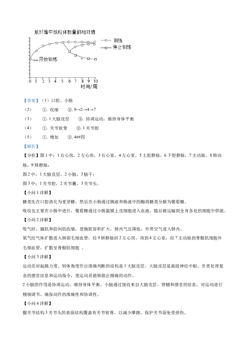 2025年山东省烟台市中考生物真题（解析版）_山东历年中考真题_山东省2025中考题_烟台