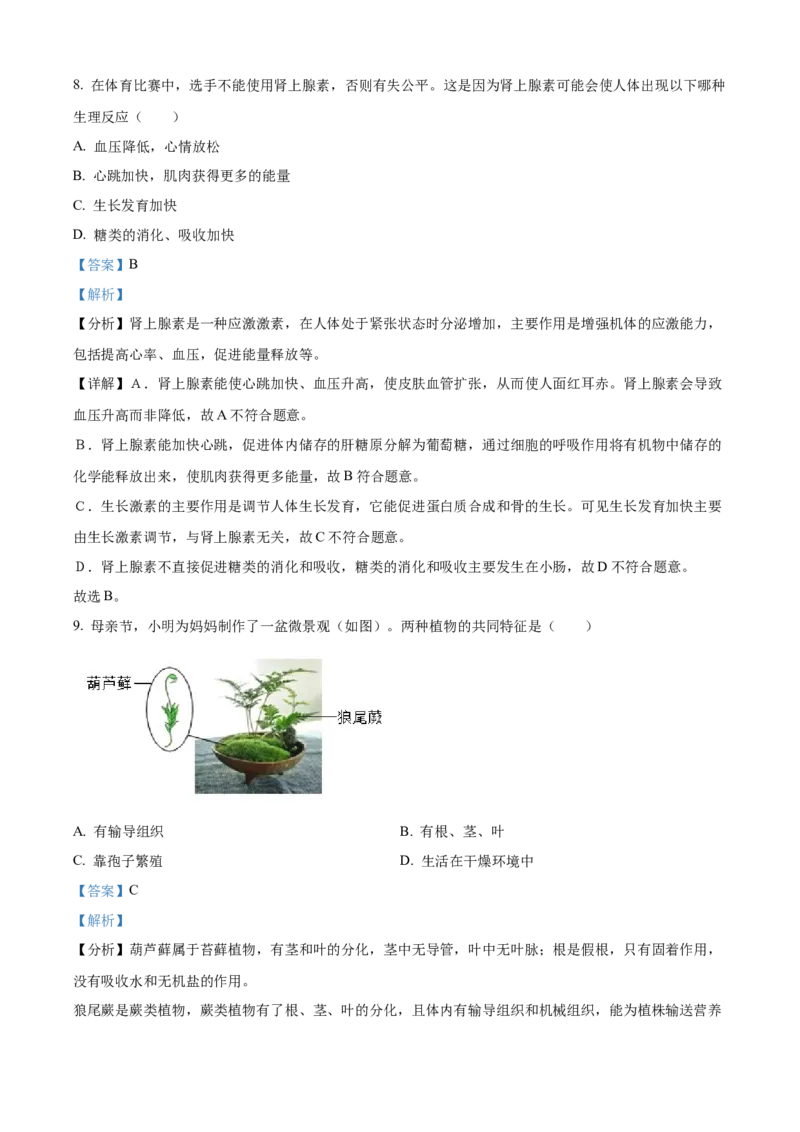 2025年山东省烟台市中考生物真题（解析版）_山东历年中考真题_山东省2025中考题_烟台