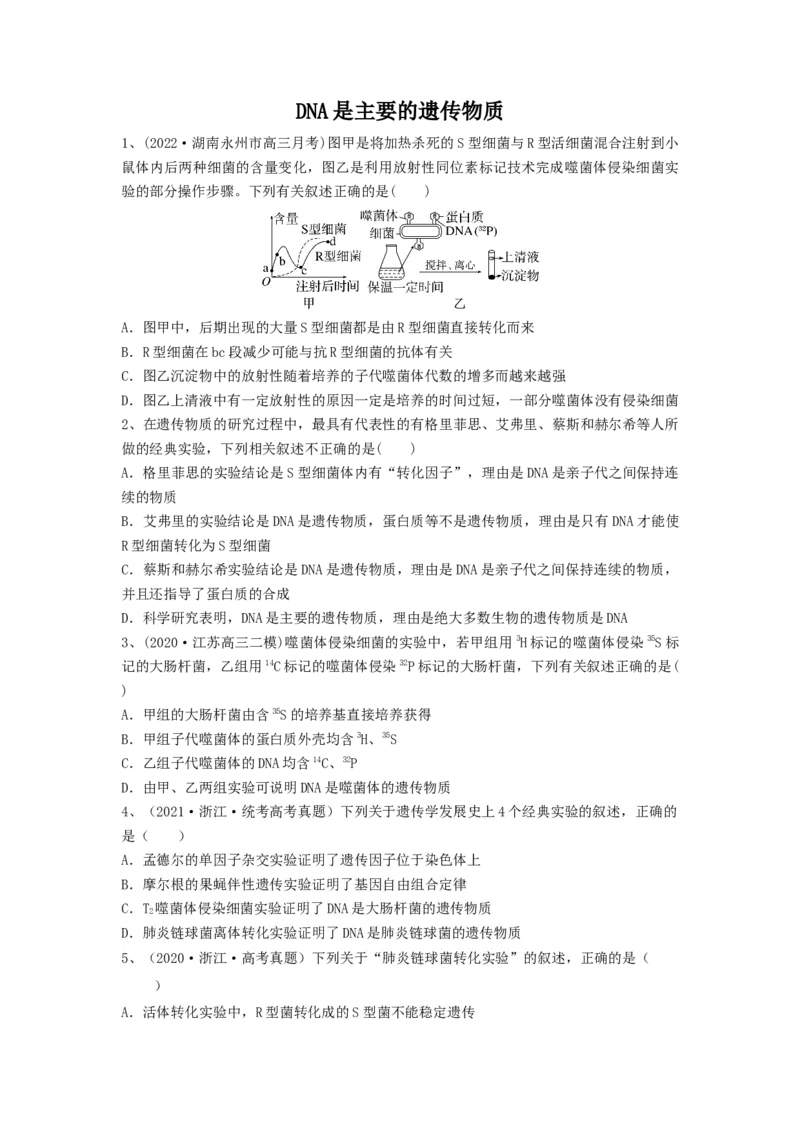 专题17DNA是主要的遗传物质（精练）（原卷版）_新高考复习资料_2024年新高考复习资料_一轮复习资料_完备战2024年高考生物一轮复习串讲精练（新高考专用）_精练