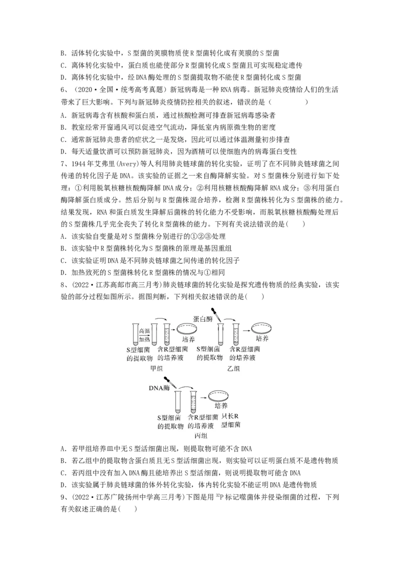 专题17DNA是主要的遗传物质（精练）（原卷版）_新高考复习资料_2024年新高考复习资料_一轮复习资料_完备战2024年高考生物一轮复习串讲精练（新高考专用）_精练