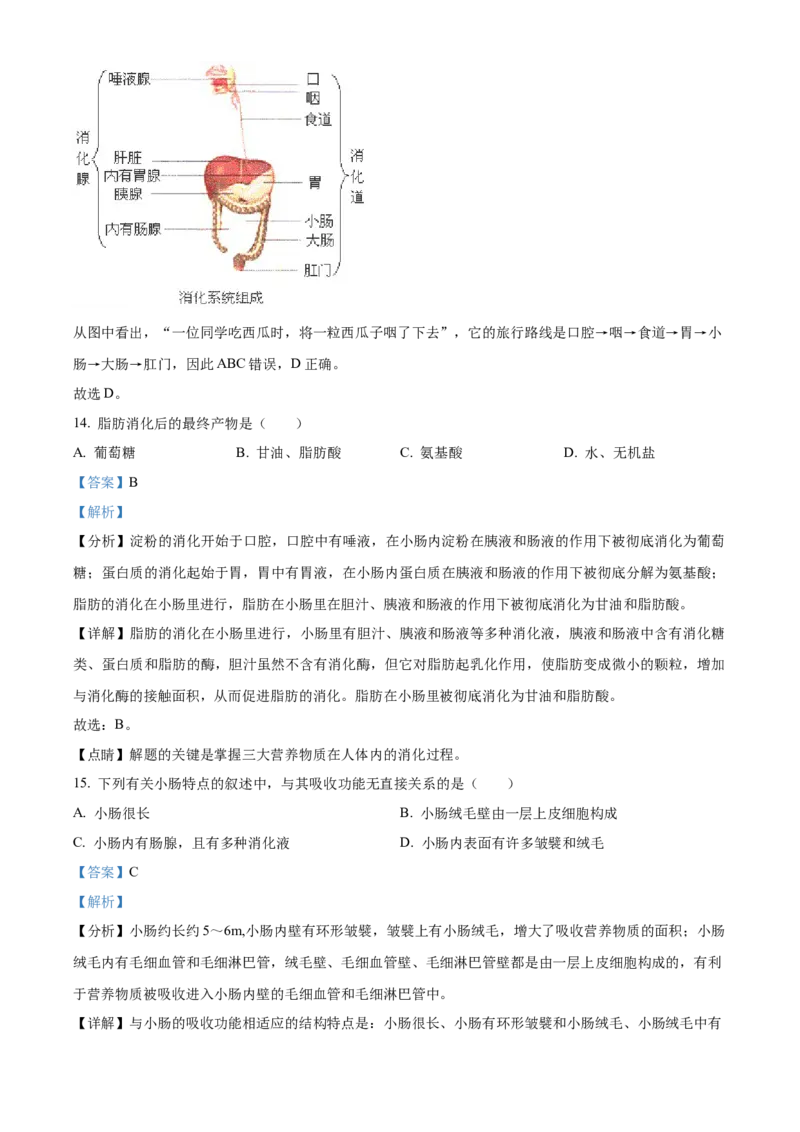 3七年级下学期期中生物试题（解析版）_初中全科电子版试卷练习试题_生物_生物人教版7下练习_人教生物7年级下期中试卷07份