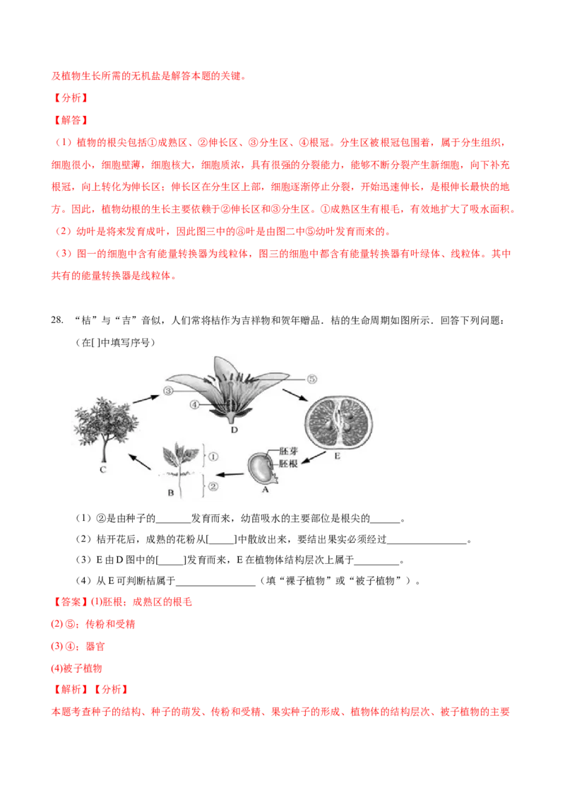 3.2章末检测（解析版）_初中全科电子版试卷练习试题_生物_生物人教版7上练习&mdash;24新版已更新_人教生物7年级上单元试卷36份_第3套七年级生物上册单元试卷（人教版）06份