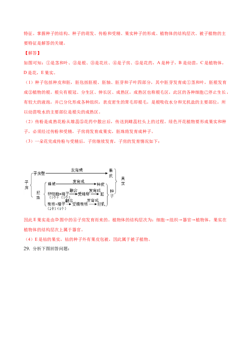 3.2章末检测（解析版）_初中全科电子版试卷练习试题_生物_生物人教版7上练习&mdash;24新版已更新_人教生物7年级上单元试卷36份_第3套七年级生物上册单元试卷（人教版）06份
